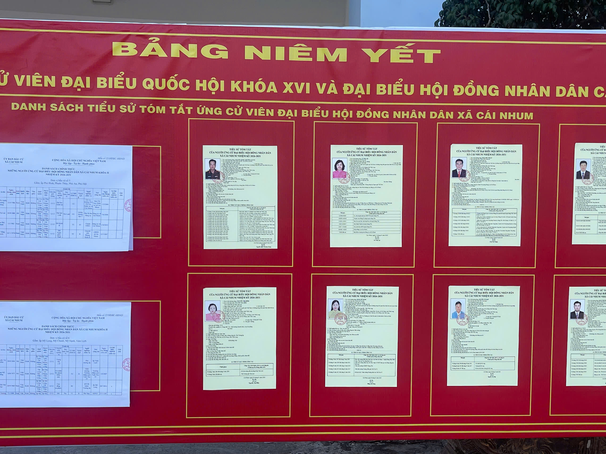 Tiểu sử tóm tắt ứng cử đại biểu Hội đồng nhân dân các cấp nhiệm kỳ 2026-2031.